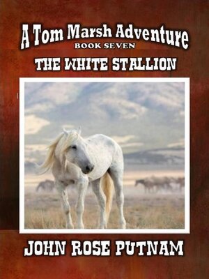 cover image of The White Stallion